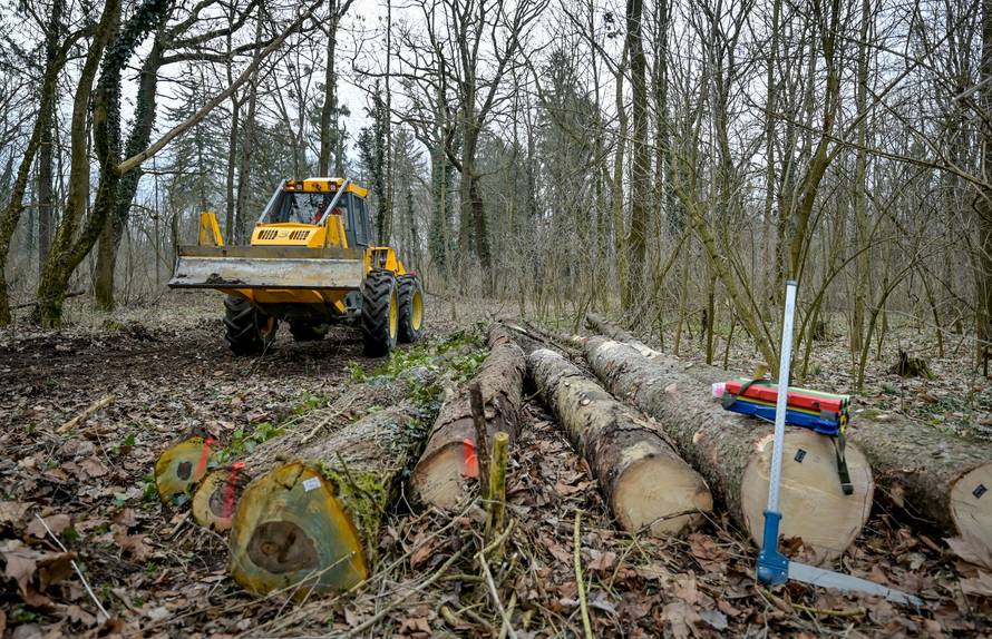 FOTO Veliki zahvat u Varaždinu: Dravska park šuma ide u obnovu vrijednu 5,1 milijun eura