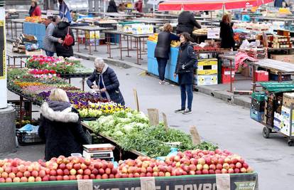 Popodne na Dolcu jednom  na mjesec i Zagorkin sajam knjiga