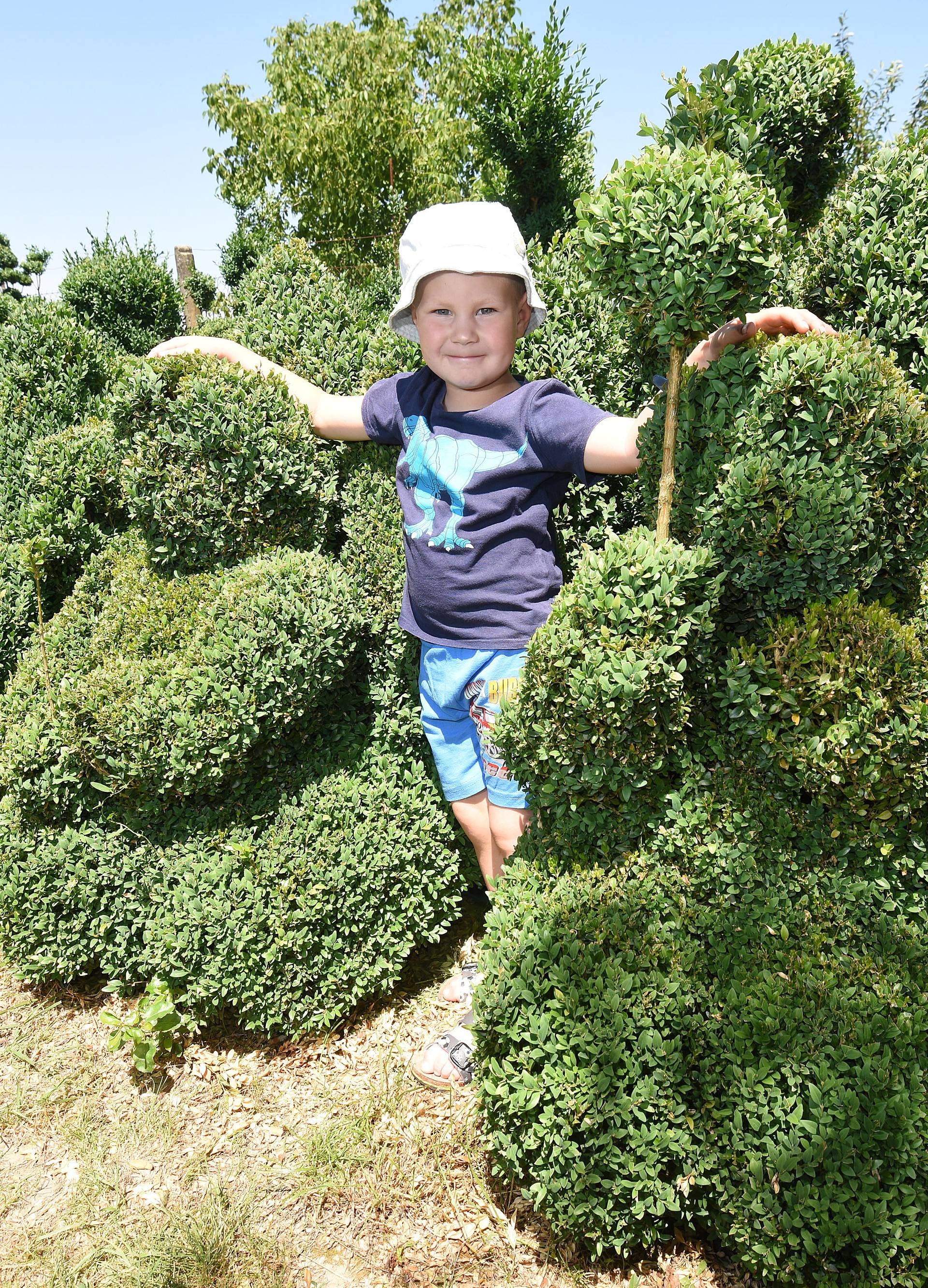 Zelenim skulpturama zadivio je svijet: Otvara park u Sračincu