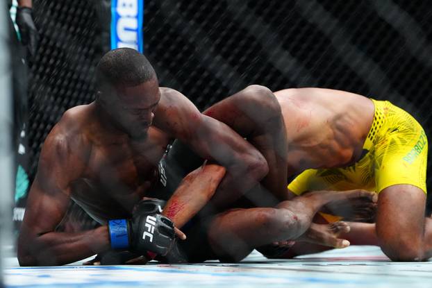 MMA: UFC 323 - Barboza vs Turner