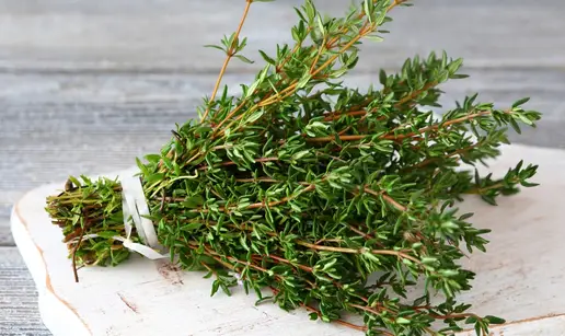 Jestivi senzor za gripu: Ako osjetiš timijan - uspori i odmori