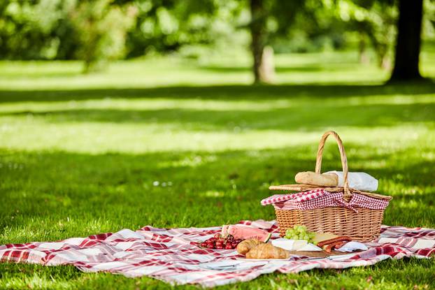 Delicious picnic spread with fresh food