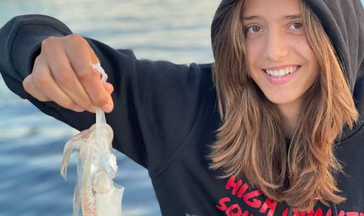 Eging - lov lignji s obale