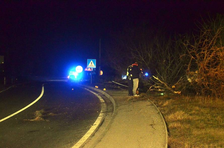 Užas kod Buzeta: Prevrtali se, mladić ispao iz auta i poginuo