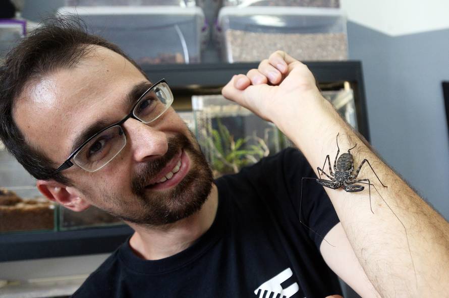 Marko je kralj tarantula: Ima ih 150, a pokrenuo je i posao...