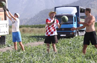 Poljoprivrednici iz doline Neretve apeliraju: 'Kiše nema, nemamo vode za zalijevanje'