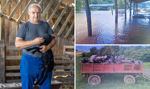 Tuga farmera kraj Đakova: 'Lani je došla poplava u lipnju i ubila mi janjce, ove godine ista priča'