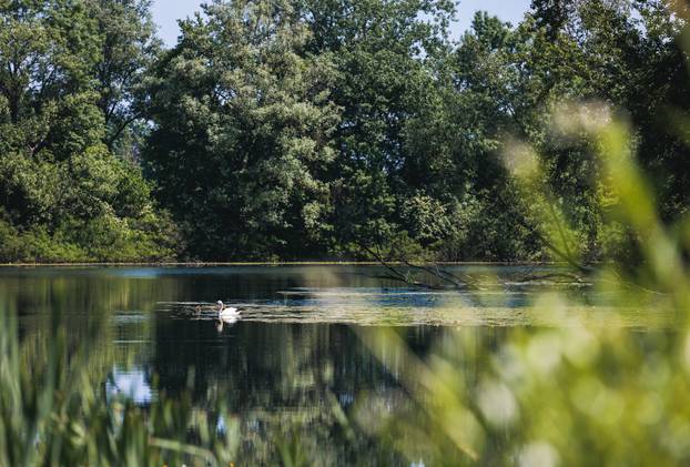 Savršeno mjesto za bijeg: Kuća na jezeru u srcu Lonjskog polja