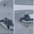 Propao kroz led: Vatrogasac u Vukovaru junački izvukao psa