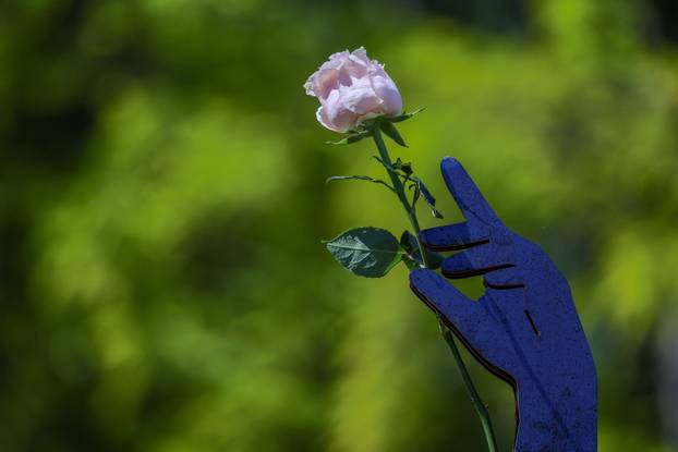 Zagreb: Sunce obasjalo Flora Art