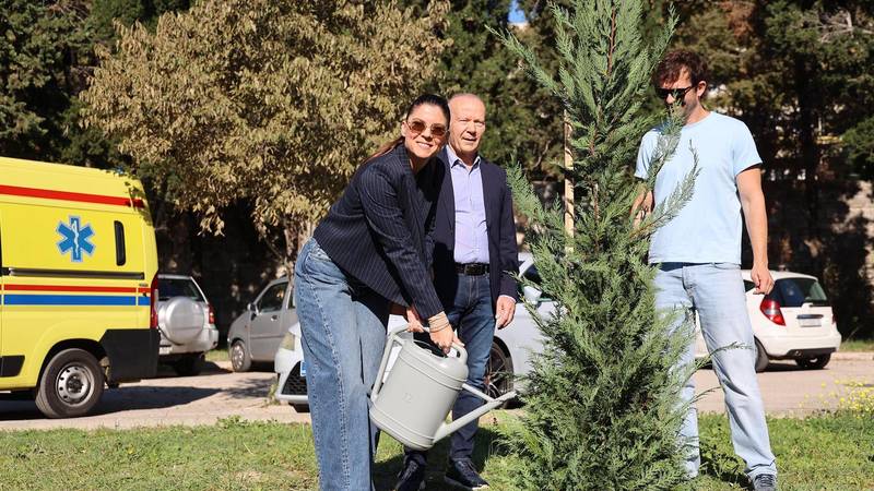Splitski likovni umjetnici sade stabla u dvorištu KBC-a Split