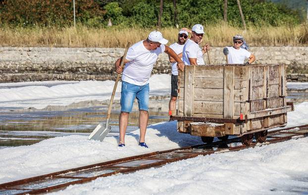 Berba soli u Stonskoj solani