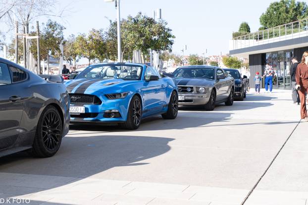 GALERIJA Kultni američki Mustanzi zablistali su u Rovinju