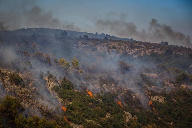 Veliki šumski požar u okolici Planog