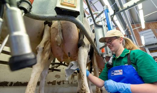 Arla Foods i DMK Group grade najveću mljekarsku zadrugu, povezat će 12 tisuća mljekara