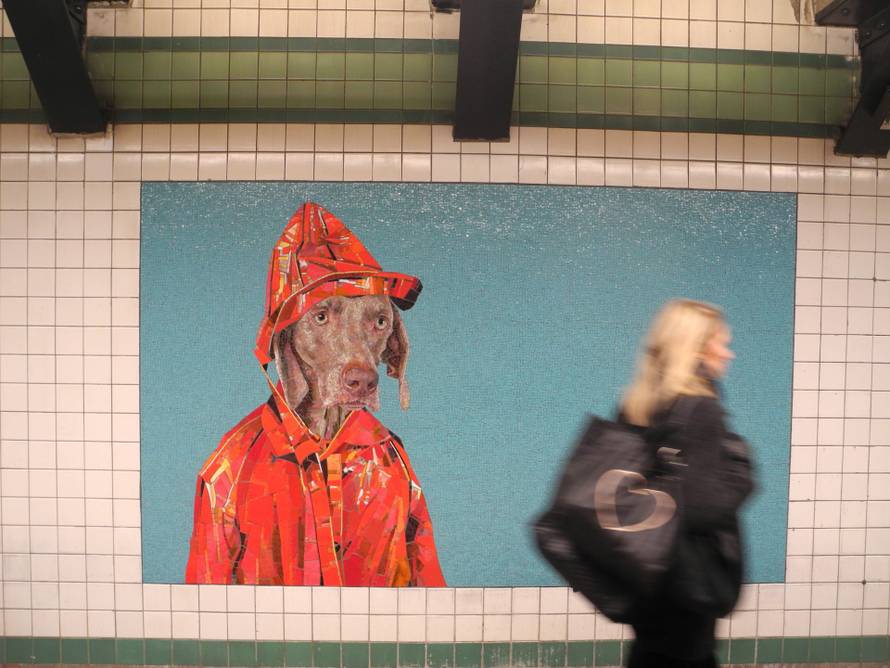 U londonskoj podzemnoj postavljeni mozaici s likovima pasa umjernika Williama Wegmana