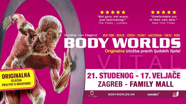 Body Worlds Vital - orginalna izložba ljudskih tijela koja ruši svjetske rekorde posjećenosti