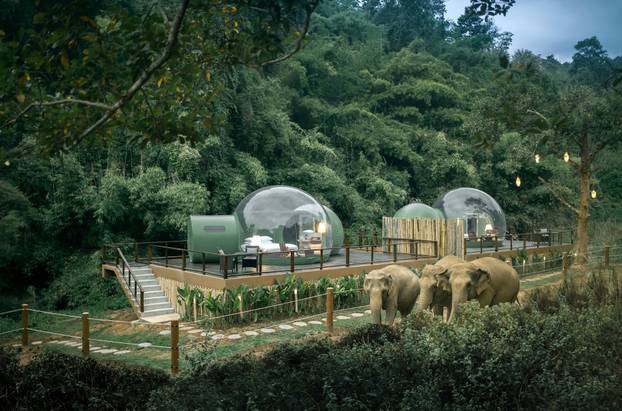 Jumbo glass bubbles let hotel guests sleep under the stars surrounded by elephants