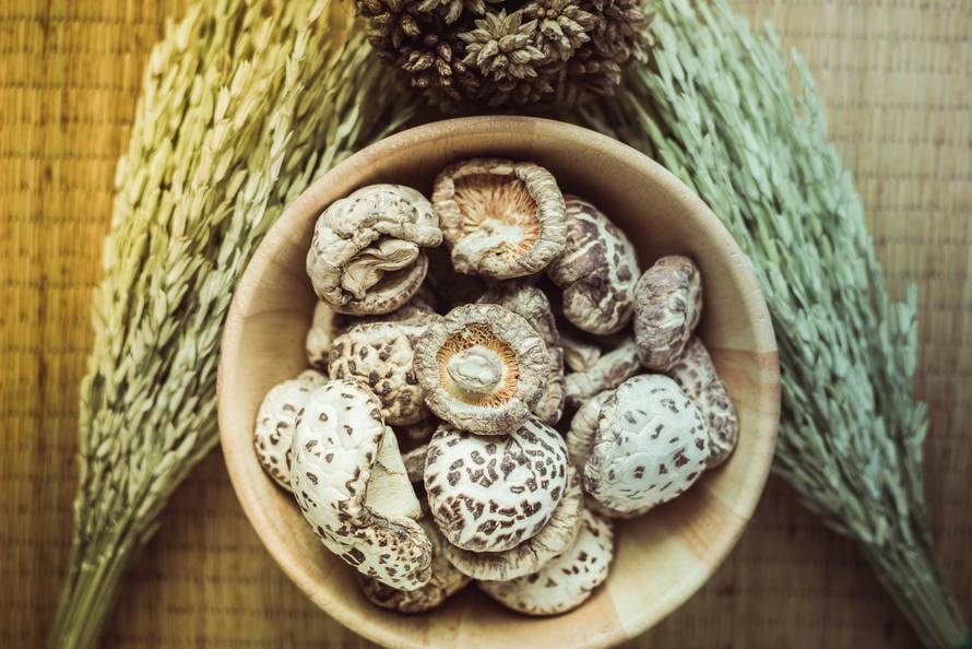 Moćne kineske gljive protiv tumora i upala - reishi, shiitake
