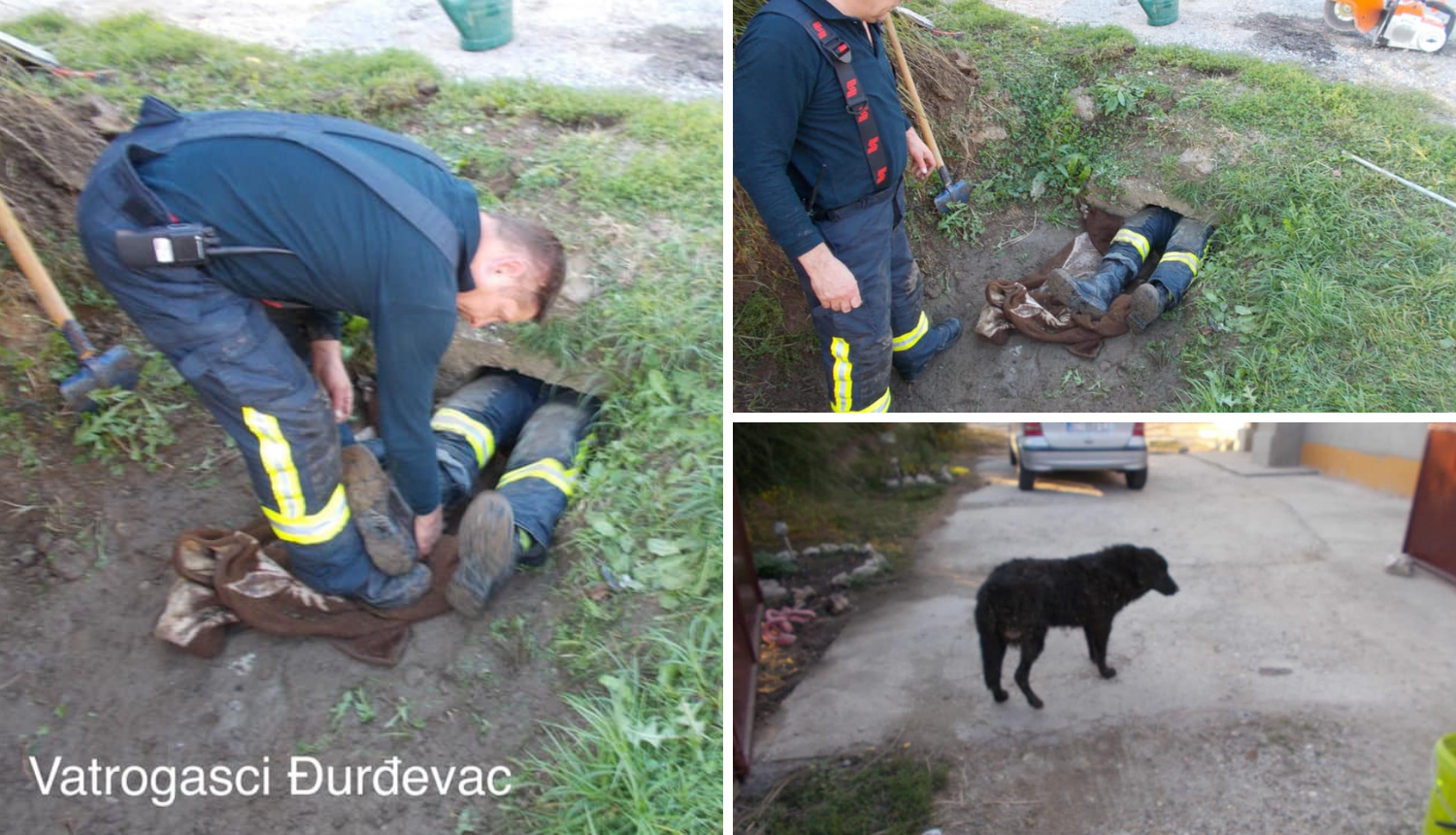 Pas zaglavio u rupi: Vatrogasac se zavukao u cijev i spasio ga
