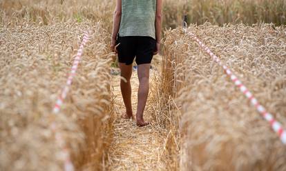 Crop circle