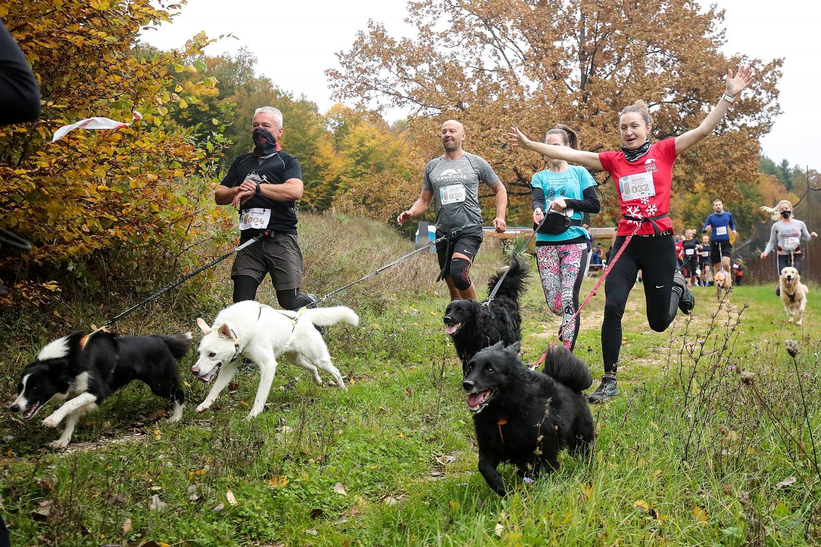 Nedaleko Ključić Brda održana utrka pasa i njihovih vlasnika u dužini 6 kilometara