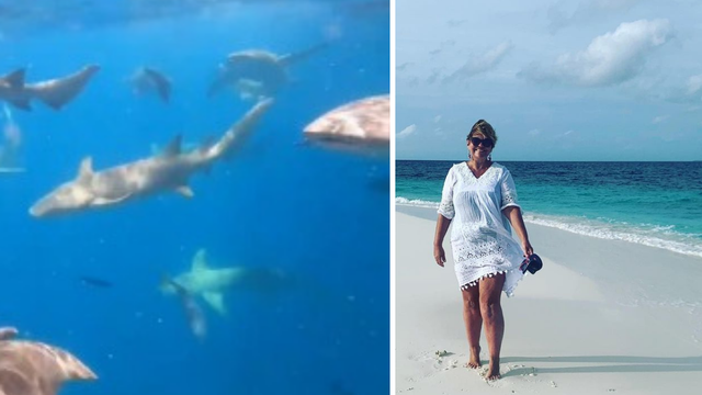 Karmela Vukov-Colić: 'Volimo Maldive, a plivanje s morskim psima bilo je zaista bezopasno'
