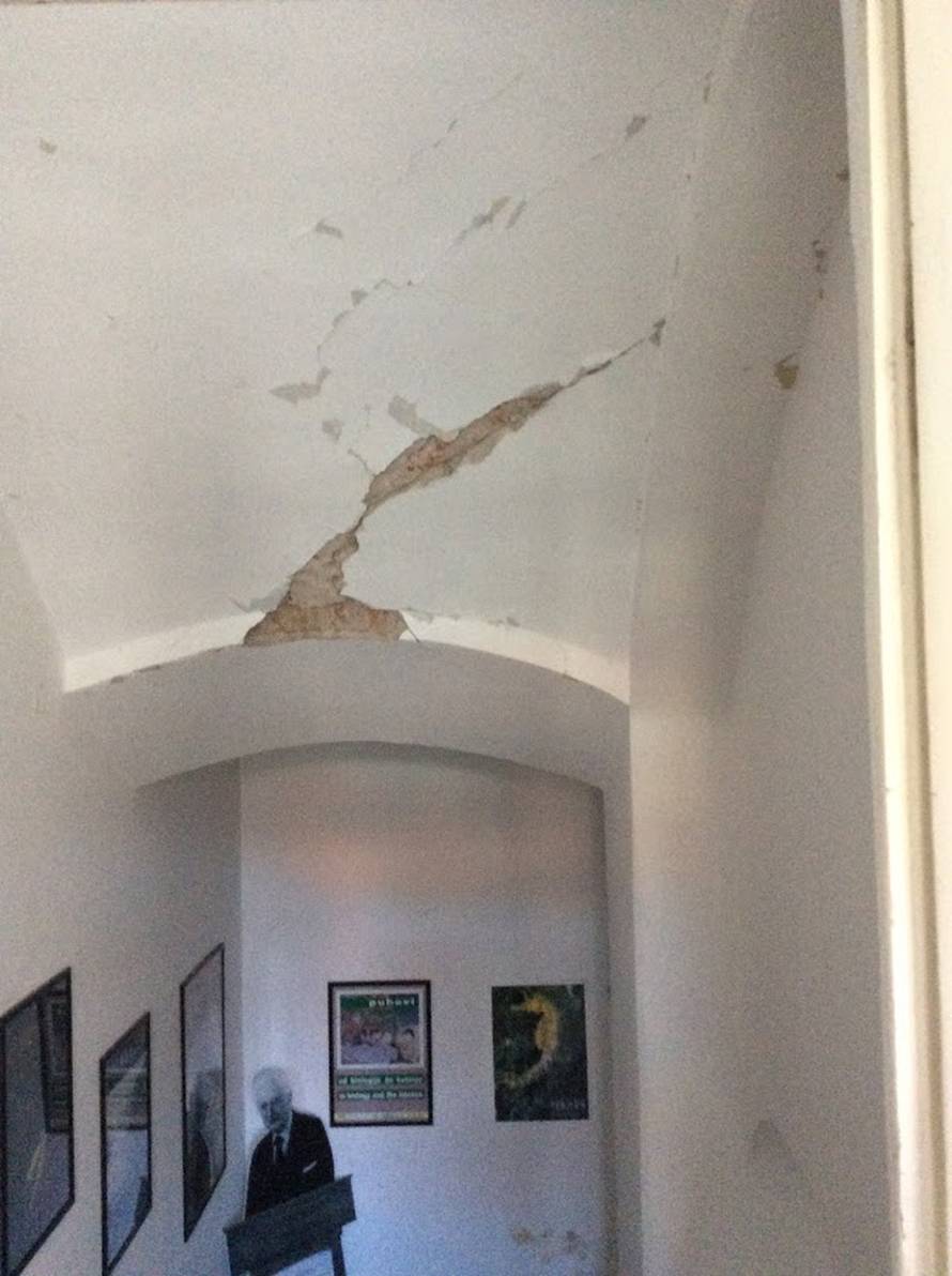 Hrvatski prirodoslovni muzej teško je stradao u potresu