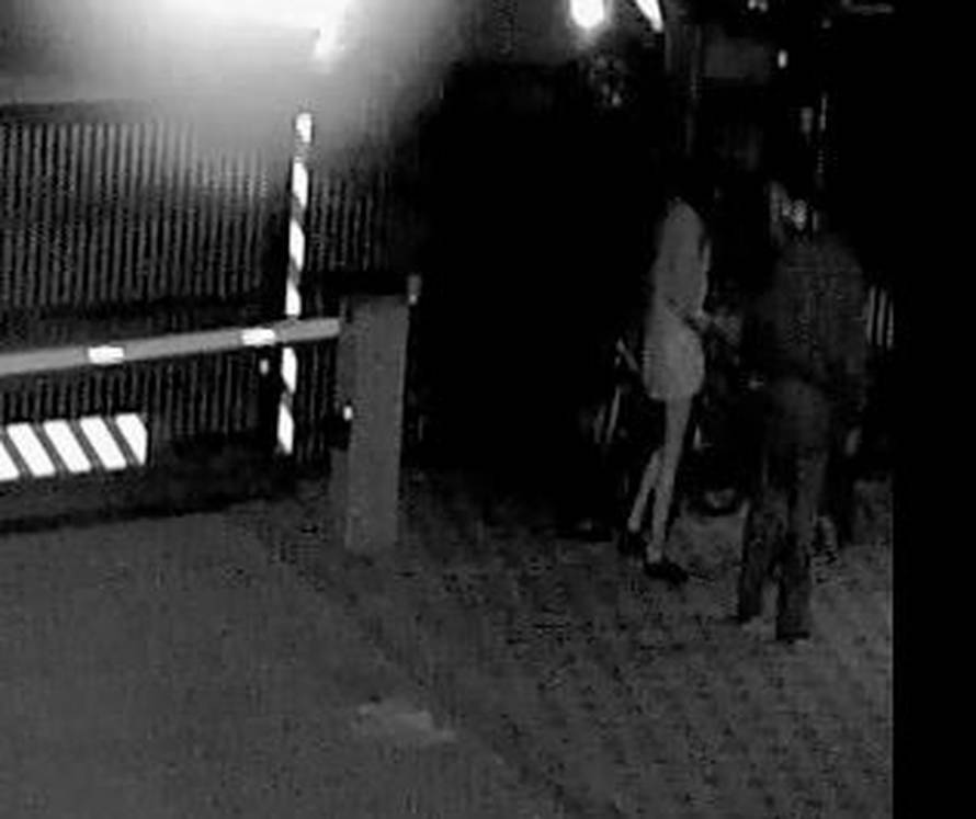 'Nuša ima granični poremećaj ličnosti, ali znala je što radi...'