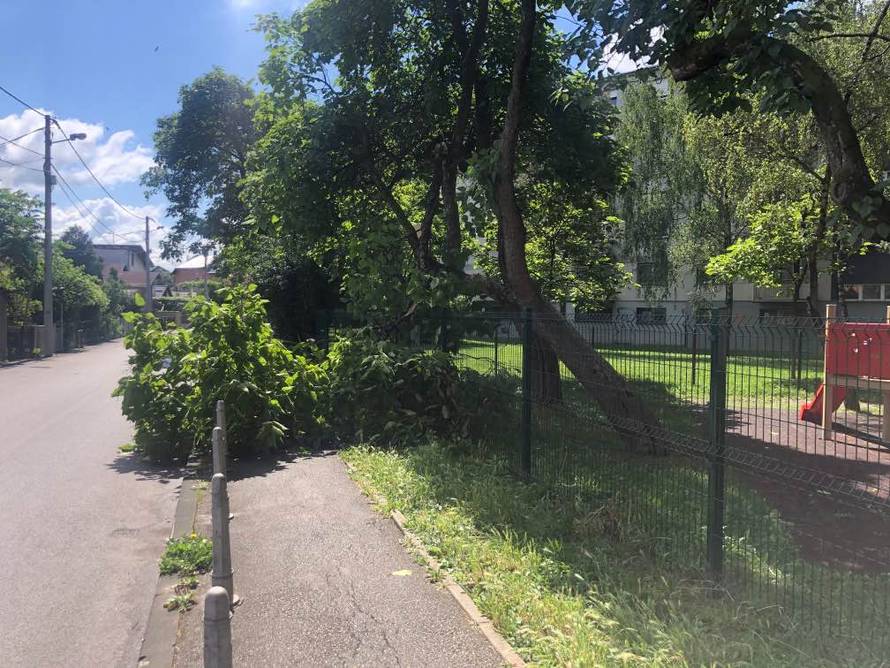 U Zagrebu i Splitu palo nekoliko stabala na ceste i aute, u Senju naleti bure od 153 km/h