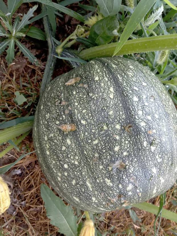 FOTO Pogledajte što ide prema Hrvatskoj! Upozorenje za cijelu zemlju, evo kad će se smiriti!