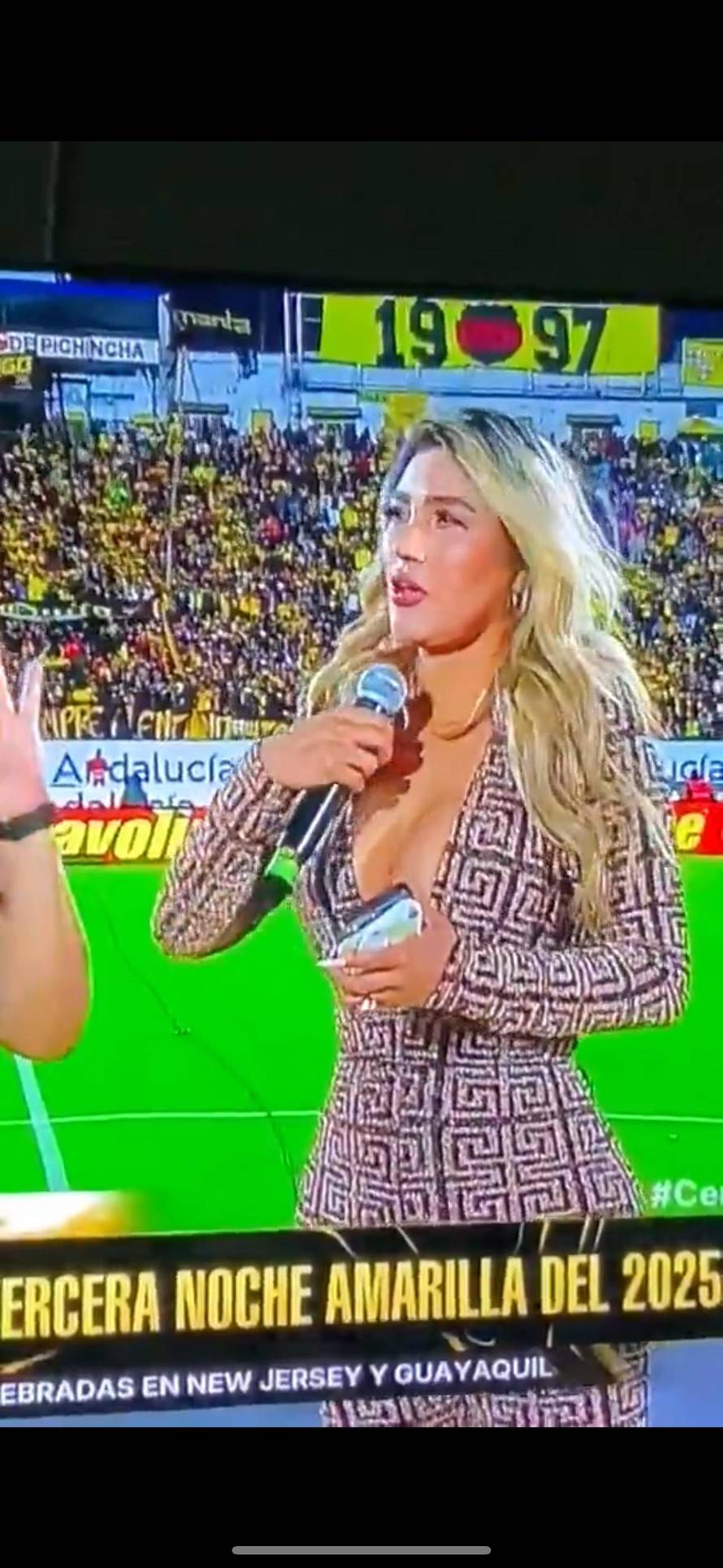 VIDEO Voditeljica se borila s dekolteom usred TV prijenosa: 'Više nitko nije pratio nogomet'