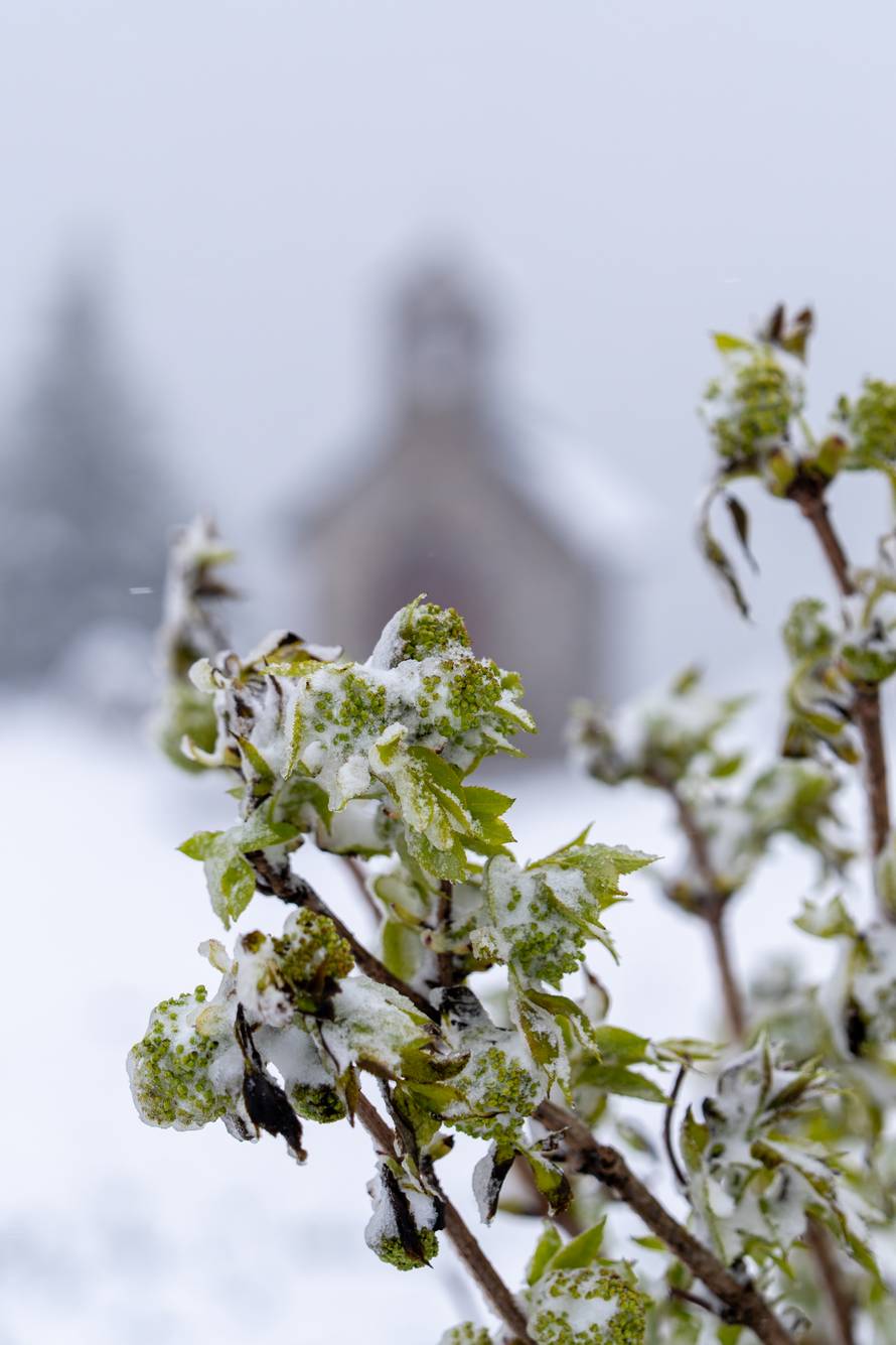 Zavižan: Snijeg pao u Nacionalnom parku Sjeverni Velebit