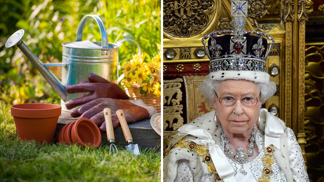 Ako maštate o životu na dvoru, evo prilike: Kraljica Elizabeta II. traži novog vrtlara u Windsoru!