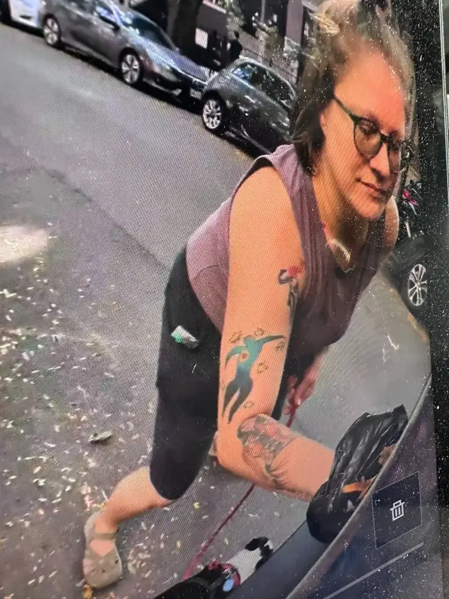 CYBERDREK Kamere je snimile kako maže izmet po Teslinom autu: 'E sad ću joj uništiti dan'