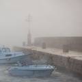 Nevrijeme s tučom zahvatilo područje općine Marina: Grom pogodio stablo i rascijepio ga