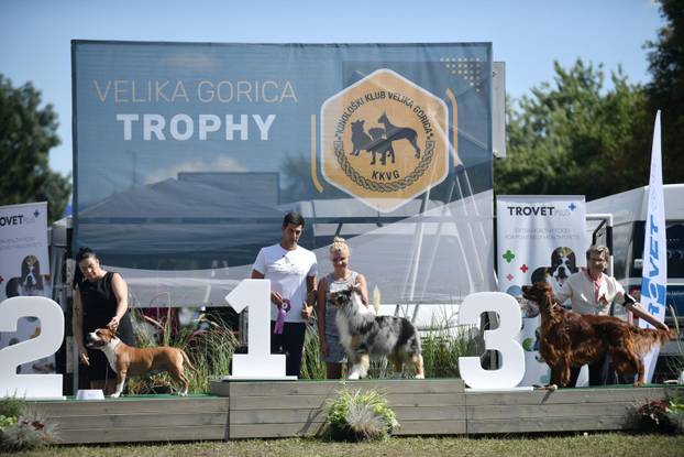 Nacionalna izložba pasa "Velika Gorica Trophy 2025"