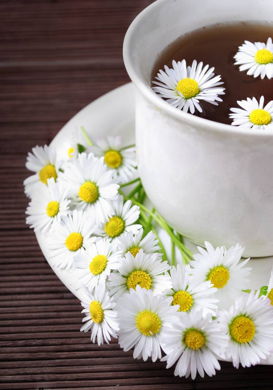 Saznajte koji je vaš cvijet prema mjesecu rođenja, svaki od njih ima svoje posebno značenje