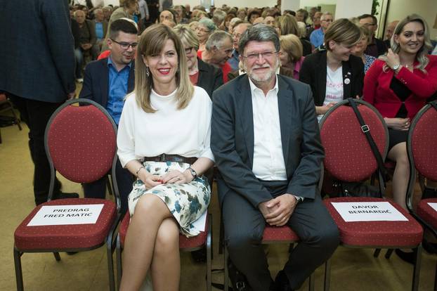 Vukovar: ZavrÅ¡ni skup  SDP-a za EU izbore