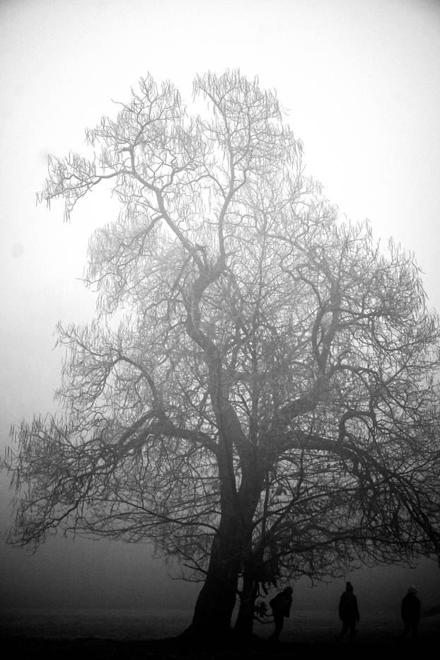 Zagreb: Gusta magla sakrila boje parka Maksimir