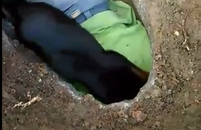 Kopale i rukama: Zavlačile se u jamu da bi spasile četiri štenca