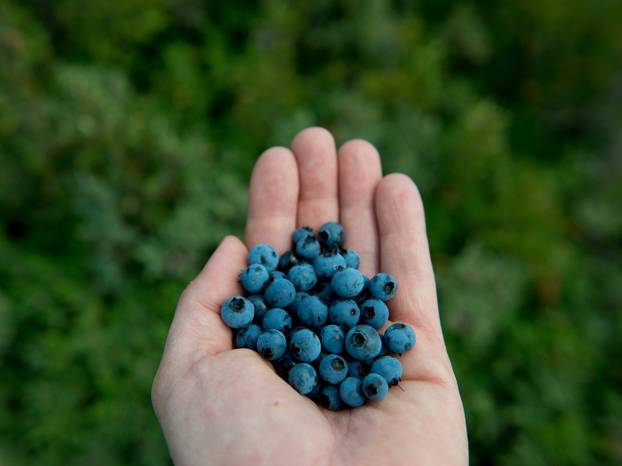 FOTO Ovo je hotel na rubu svijeta: Pogled s Fogo Island Inna ostavit će vas bez riječi