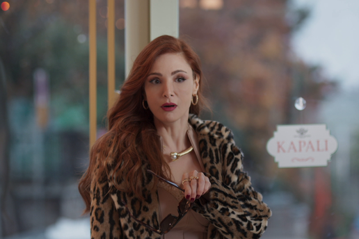 Na Novu TV sti&zcaron;e nova turska serija! Evo od kada se kre&cacute;e emitirati 'Skrivena sudbina'