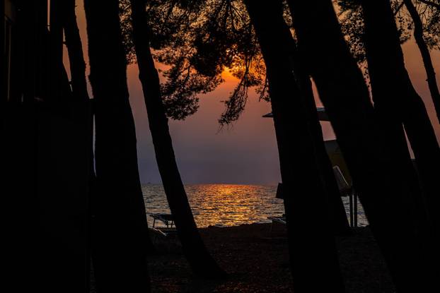 Bol:  Predvečerje na Zlatnom Ratu