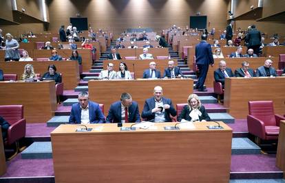 Biti zastupnik je posao iz snova