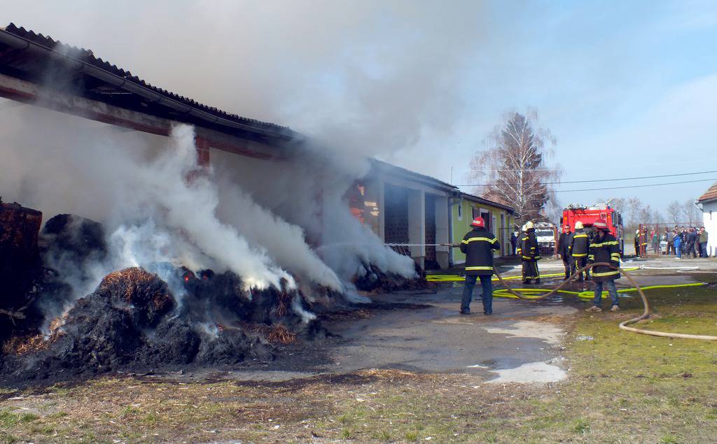 Maja Šantoši/24sata