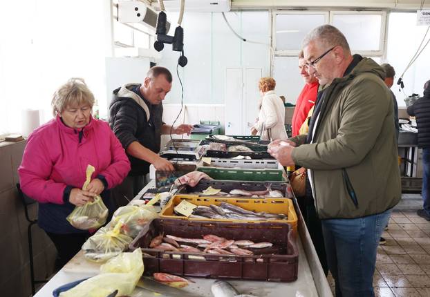 Šibenik: Ponuda na šibenskoj ribarnici