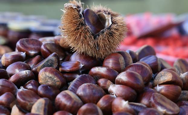 Zagreb: Na Dolac stigli prvi ovogodišnji kesteni, cijene su od 5 do 7 eura
