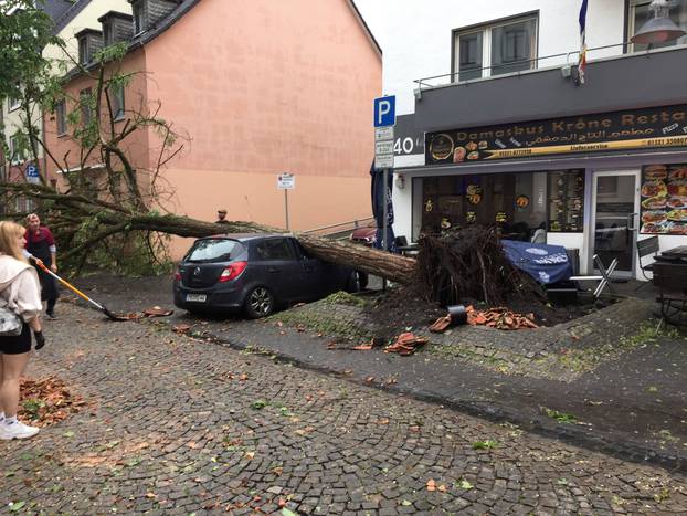 A view shows a fallen tree on a car in the aftermath of a tornado that swept through the town of Paderborn