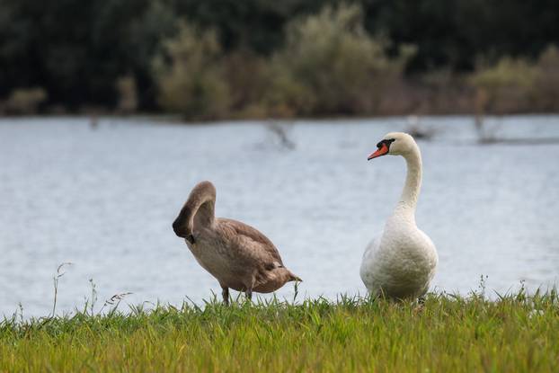 Zagreb: Šoderice Blato omiljeno su okupljalište lokalnih ribiča